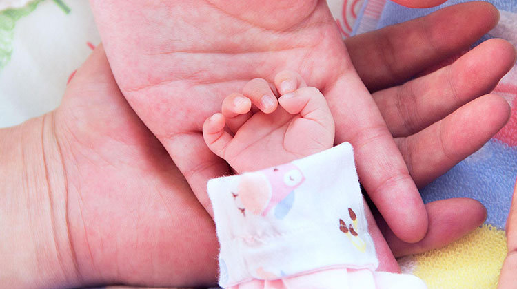 1572255484149041.png image.png