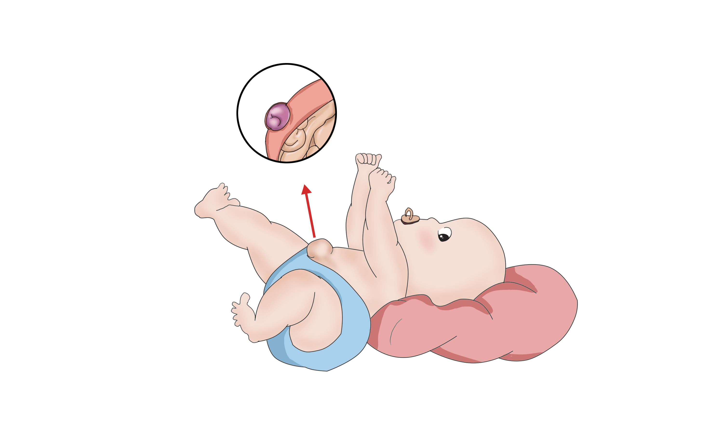 圖片關(guān)鍵詞 圖片關(guān)鍵詞