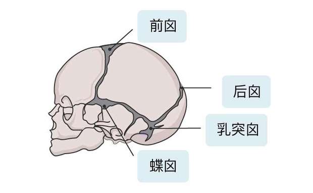 圖片關(guān)鍵詞