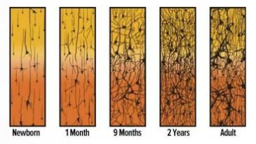 圖片關(guān)鍵詞 圖片關(guān)鍵詞